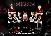 Boys 4-6 SHARKS - Coach Shy