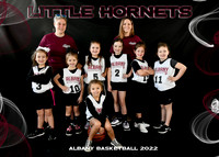Girls 4-6 LITTLE HORNETS - Coach Whitney