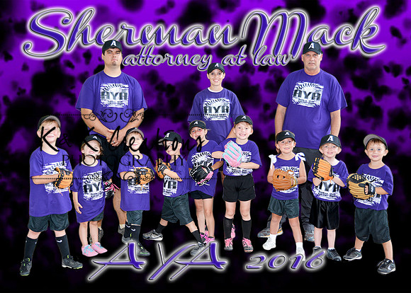 5X7 SHERMAN MACK PURPLE TEAM