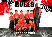 BULLS