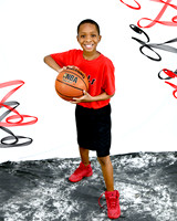 jarvis brown jr_2879