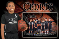 CEDRIC BANKS MEMORY MATE