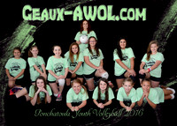Geaux AWOL.com