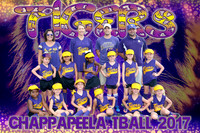 8X12 TIGERS TBALL TEAM - ORLANDO