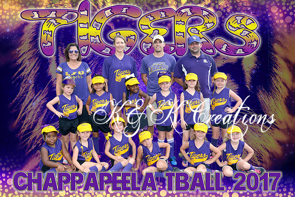 8X12 TIGERS TBALL TEAM - ORLANDO