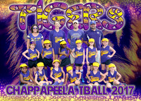 TIGERS - TBALL