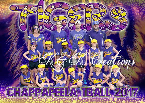 5X7 TIGERS TBALL TEAM - ORLANDO