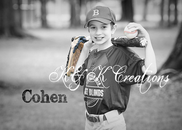 cohen_mars_4