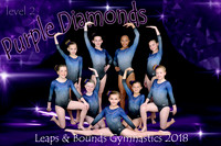 Purple Diamonds Level 2