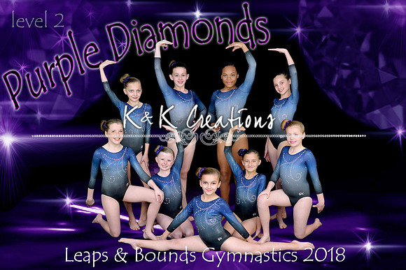 8x12 Purple DIamonds Level 2 Team