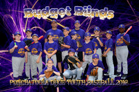budget blinds team photo