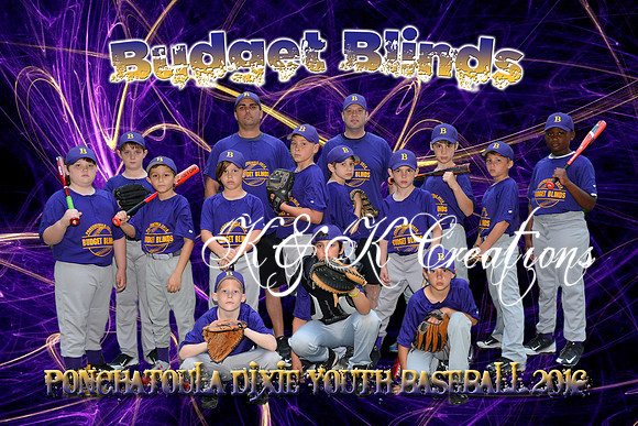 budget blinds team photo