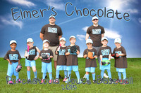 elmers_team