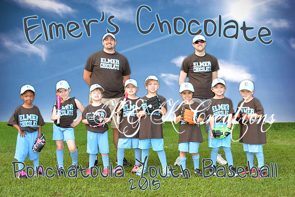 elmers_team
