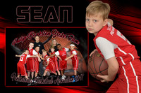 SEAN BANKSTON MEMORY MATE