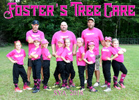 Fosters Tree Care 7-8