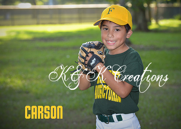 carson_hart_1