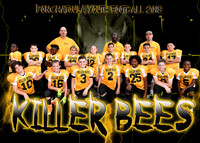 5x7 pyf  KILLER BEES TEAM