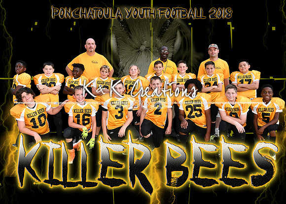 5x7 pyf  KILLER BEES TEAM