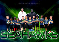Seahawks - Edward Palmer