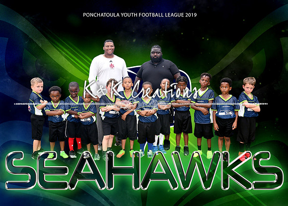 5x7 seahawks team flag football