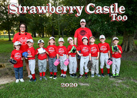 5x7 tball strawbery castle too team
