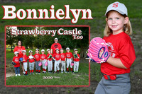 bonnielyn rogers memory mate