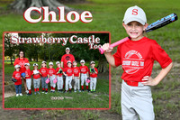 chloe simmons memory mate