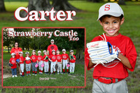 carter perry memory mate