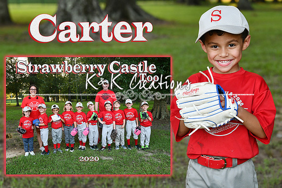 carter perry memory mate