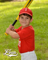 evan_willis_1
