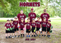 5x7 tball 3-4 #2 Coach Lauren Team