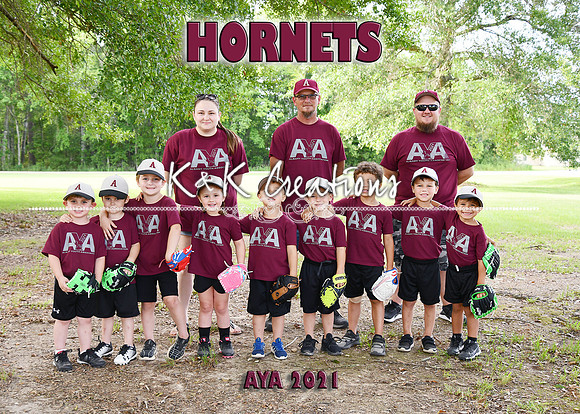 5x7 tball 3-4 #2 Coach Lauren Team