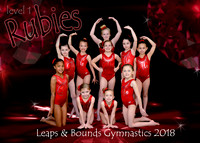 Rubies Level 1