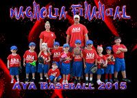 Magnolia Financial