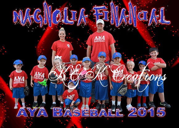5x7 Magnolia Finance TEAM