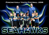 5x7 pyf SEAHAWKS TEAM
