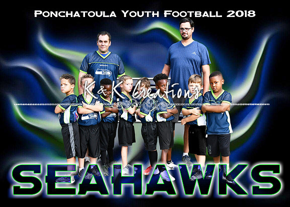 5x7 pyf SEAHAWKS TEAM