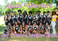 Amite High Track Team 2017