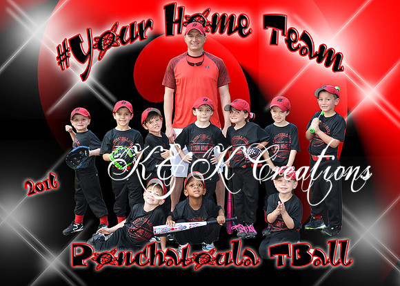 5X7 #your home team TBALL TEAM