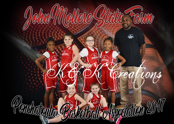 5x7 7-8g John Mollere State Farm TEAM