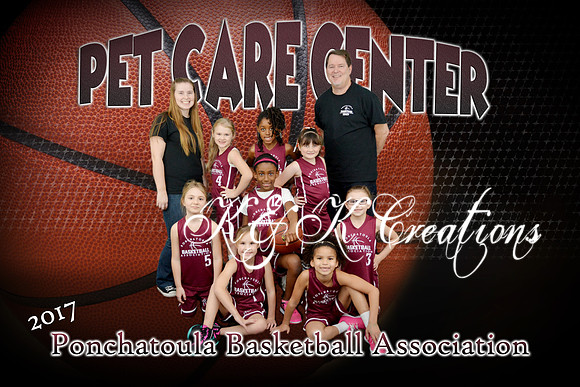 pet care center team girls