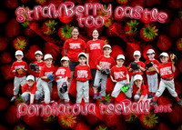 TBall Strawberry Castle Too
