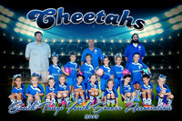 Cheetahs