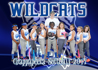 Wilcats 7/8 Girls