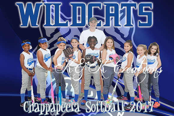 8X12 WILDCATS 7-8 GIRLS TEAM