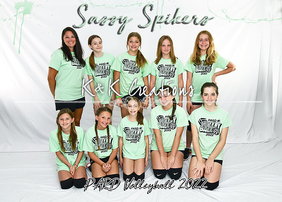5x7 sassy spikers team