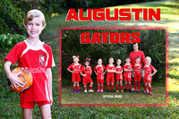 AUGUSTIN MEMORY MATE