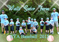 Walls Gator Farm