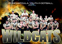 5X7 WILDCATS TEAM PYF 2017